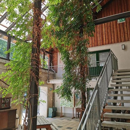 Landhotel Schaferhof Langenstein Exteriör bild
